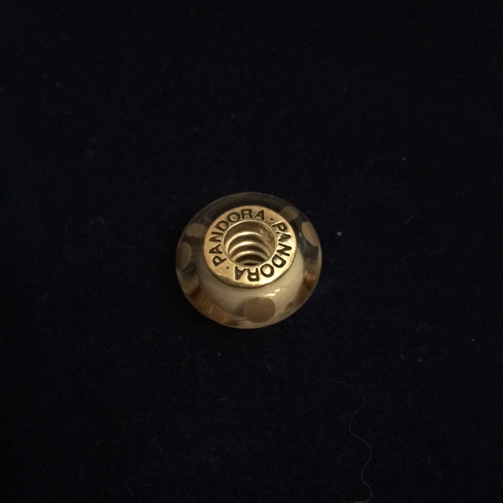 Pandora Murano glass charm